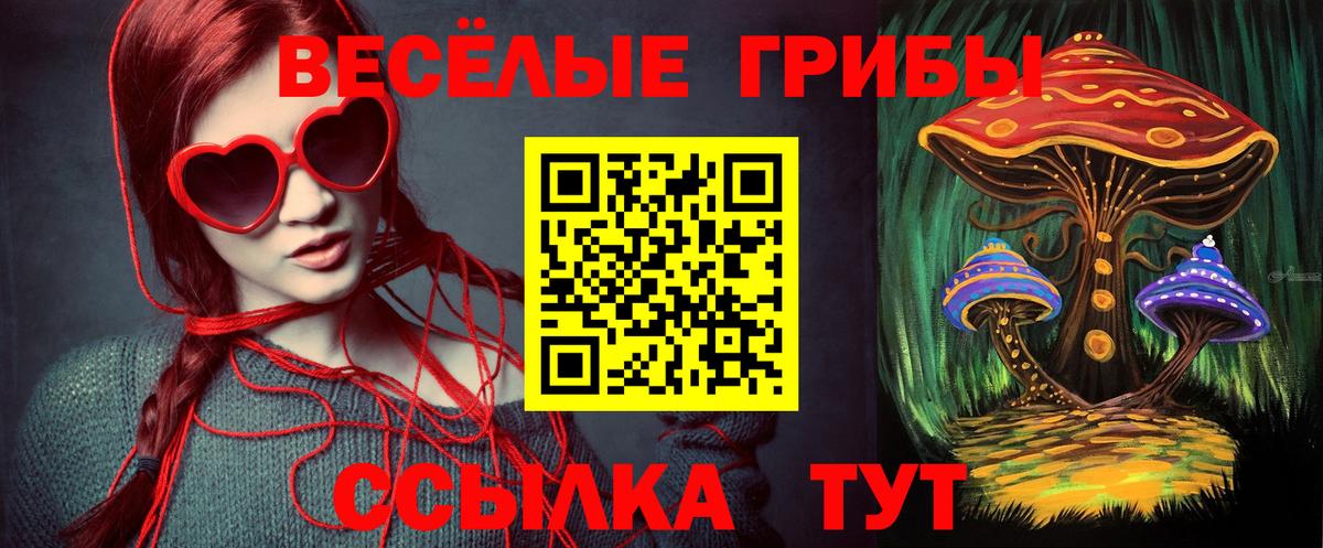 Псилоцибиновые грибы Psilocybe Нижневартовск